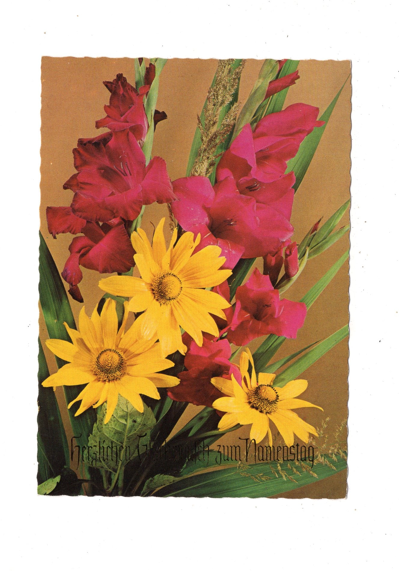 Ansichtskarte Glückwünsche / Glückwunsch zum Namenstag / L1-63