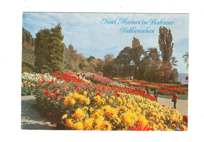 Ansichtskarte Insel Mainau im Bodensee / Dahlienschau