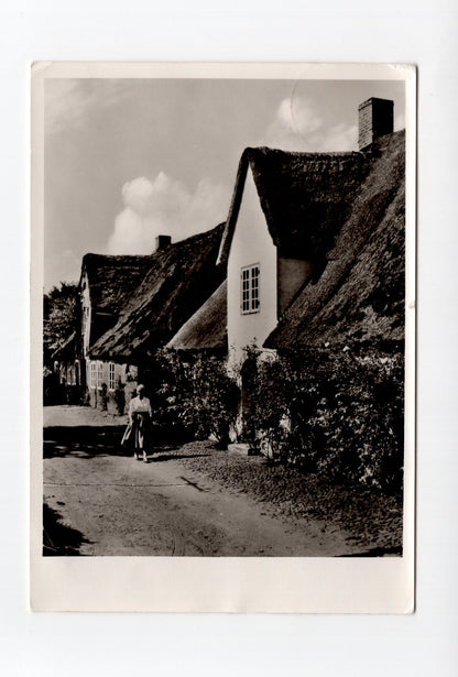 Ansichtskarte Dorfstraße auf Föhr