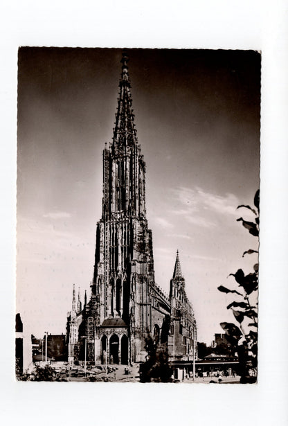 Ansichtskarte Ulm an der Donau / Münster