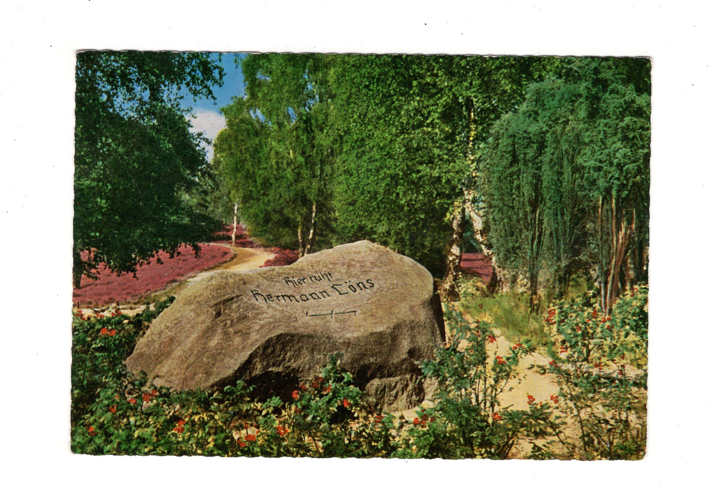 Ansichtskarte Lüneburger Heide / Hermann-Löns-Grab