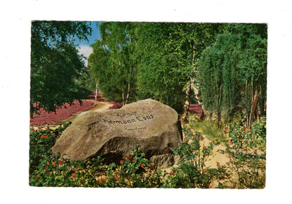 Ansichtskarte Lüneburger Heide / Hermann-Löns-Grab