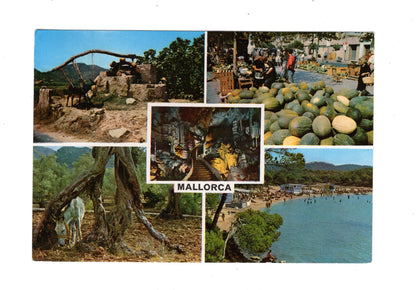 Ansichtskarte Mallorca / Spanien