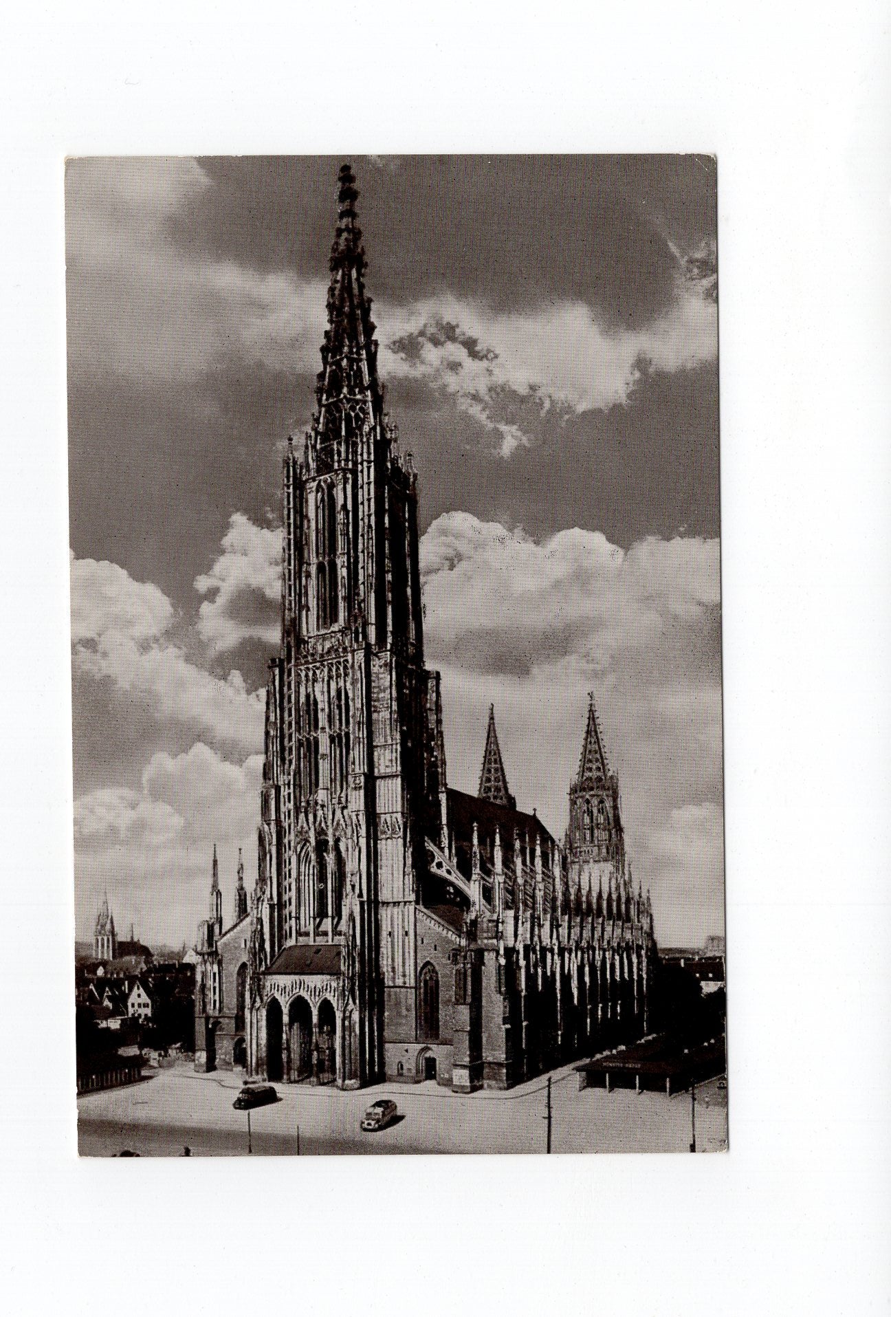 Ansichtskarte Ulm an der Donau / Münster