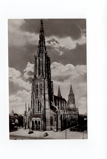 Ansichtskarte Ulm an der Donau / Münster