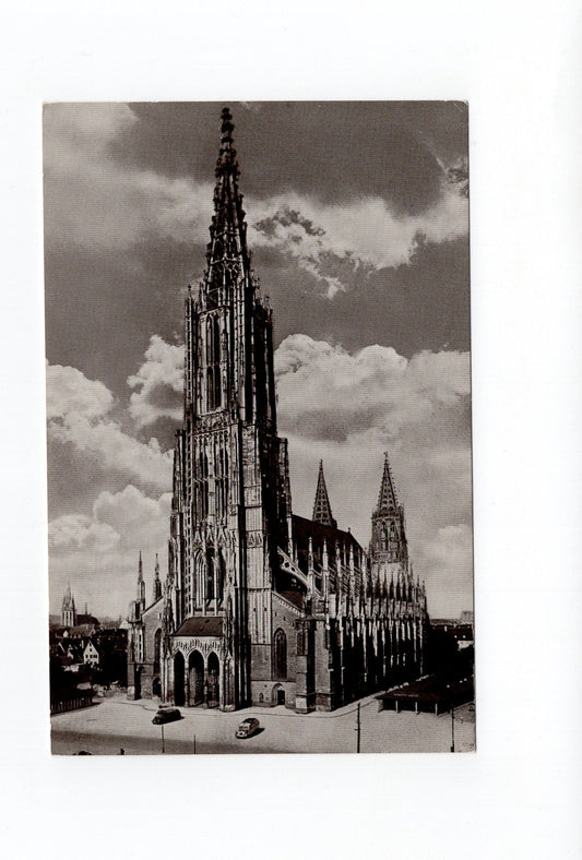 Ansichtskarte Ulm an der Donau / Münster