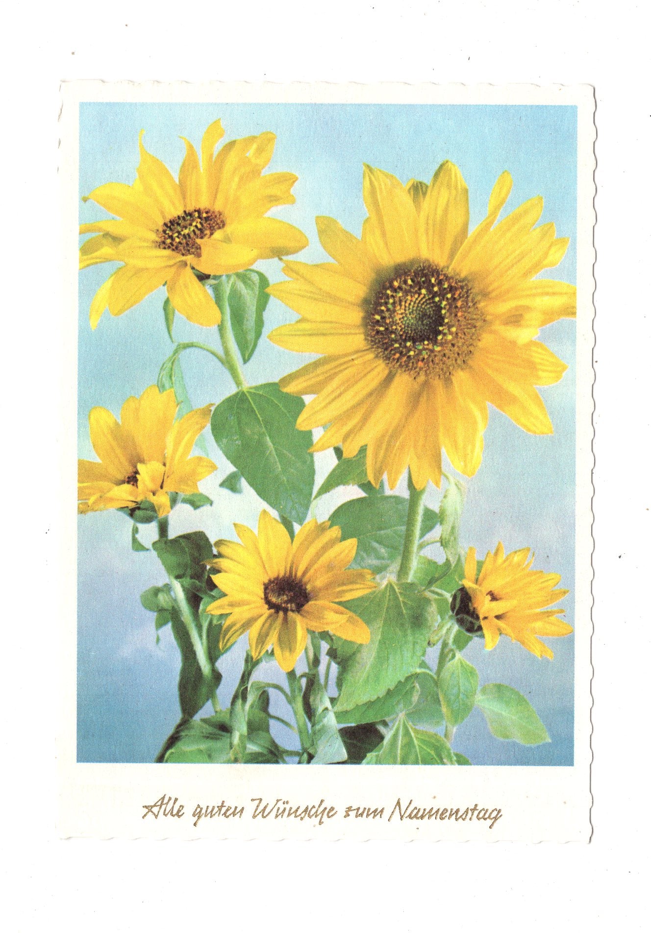 Ansichtskarte Glückwünsche / Glückwunsch zum Namenstag / L1-63