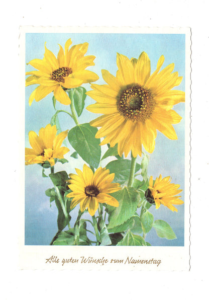 Ansichtskarte Glückwünsche / Glückwunsch zum Namenstag / L1-63