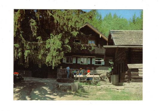 Ansichtskarte Racheldiensthütte im Bayerischen Wald / St. Oswald / H1-61