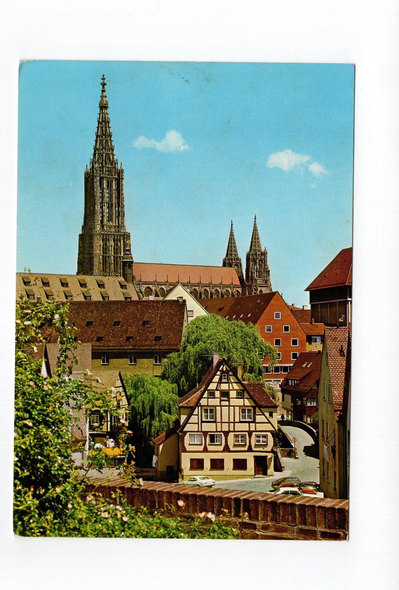 Ansichtskarte Ulm an der Donau / Blick auf das Münster