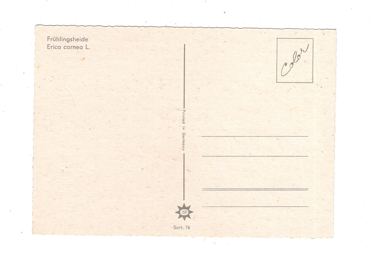 Ansichtskarte Glückwünsche / Glückwunsch zum Namenstag / L1-63