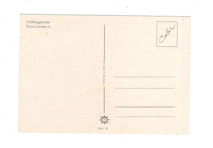 Ansichtskarte Glückwünsche / Glückwunsch zum Namenstag / L1-63