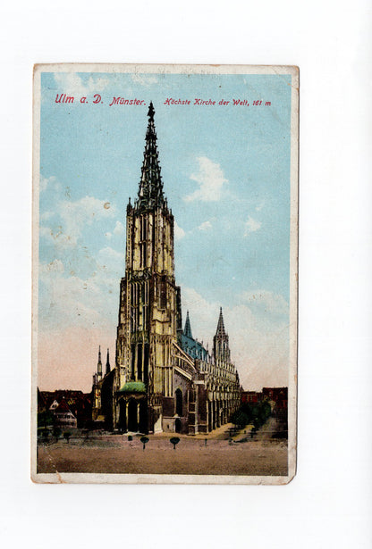 Ansichtskarte Ulm an der Donau / Münster