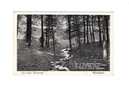 Ansichtskarte Der schöne Westerwald / Waldbächlein