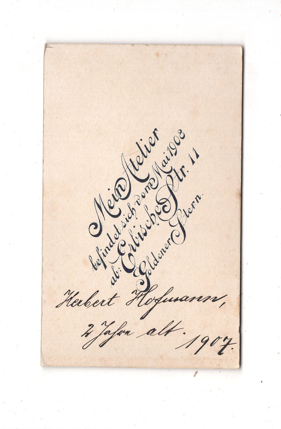 Fotografie Niedlicher kleiner Junge / Herbert Hofmann - Freiberg 1907 / CDV M1-14