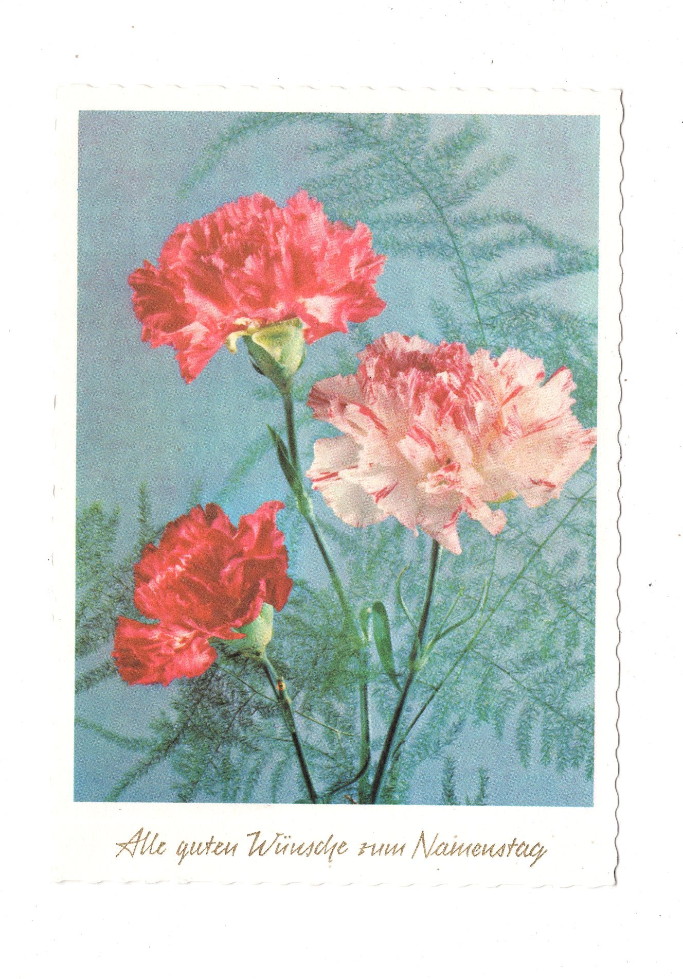 Ansichtskarte Glückwünsche / Glückwunsch zum Namenstag / L1-63