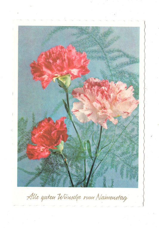 Ansichtskarte Glückwünsche / Glückwunsch zum Namenstag / L1-63