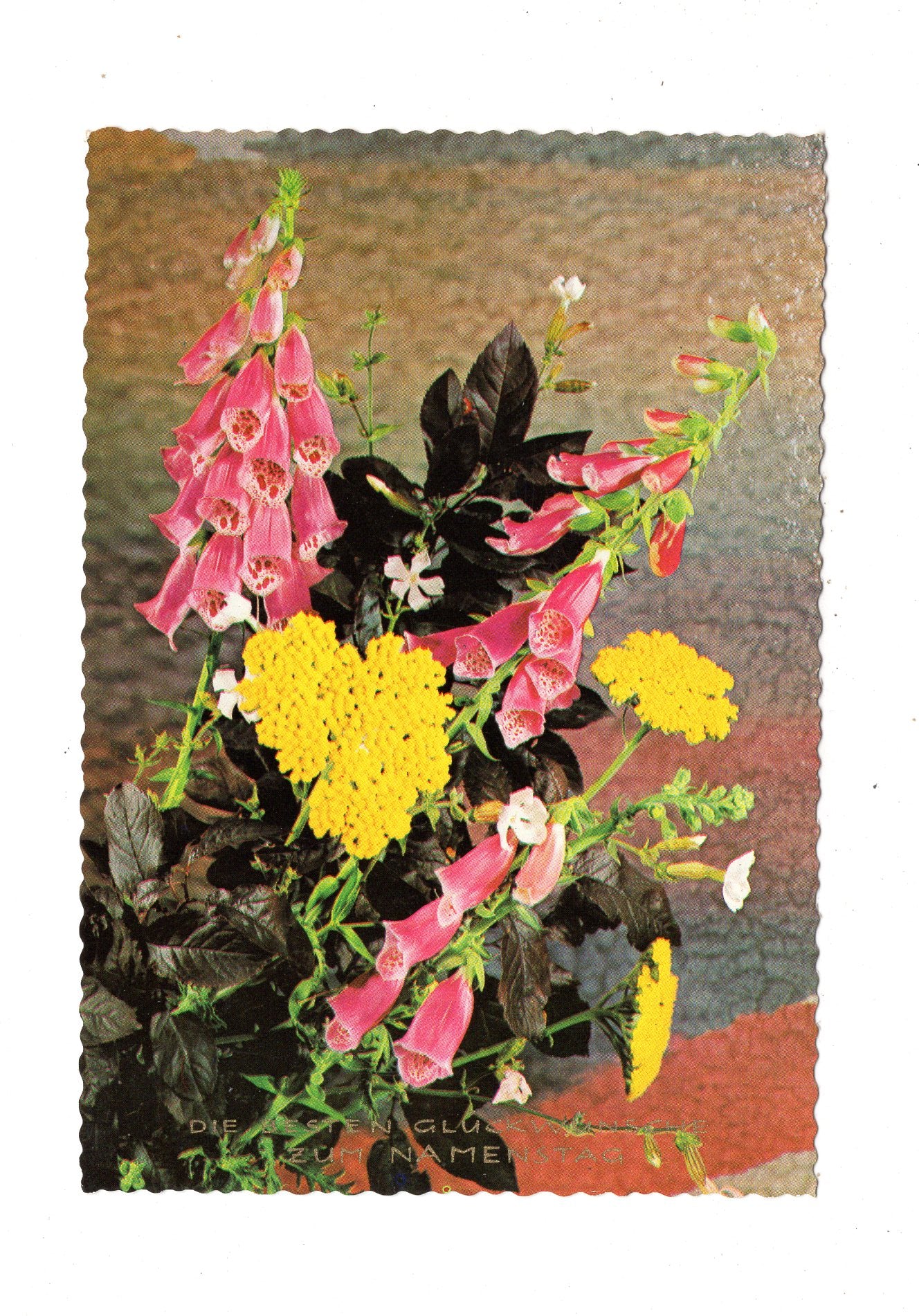 Ansichtskarte Glückwünsche / Glückwunsch zum Namenstag / L1-63