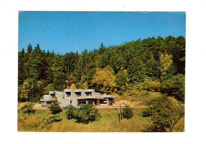 Ansichtskarte Cafe Restaurant Pension Treiber / Obertrubach-Reichelsmühle / H1-62