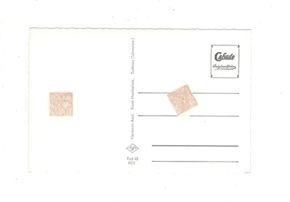 Ansichtskarte Todtnau im südlichen Schwarzwald / K1-48