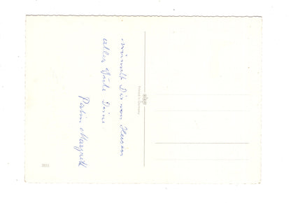 Ansichtskarte Glückwünsche / Glückwunsch zum Namenstag / L1-63