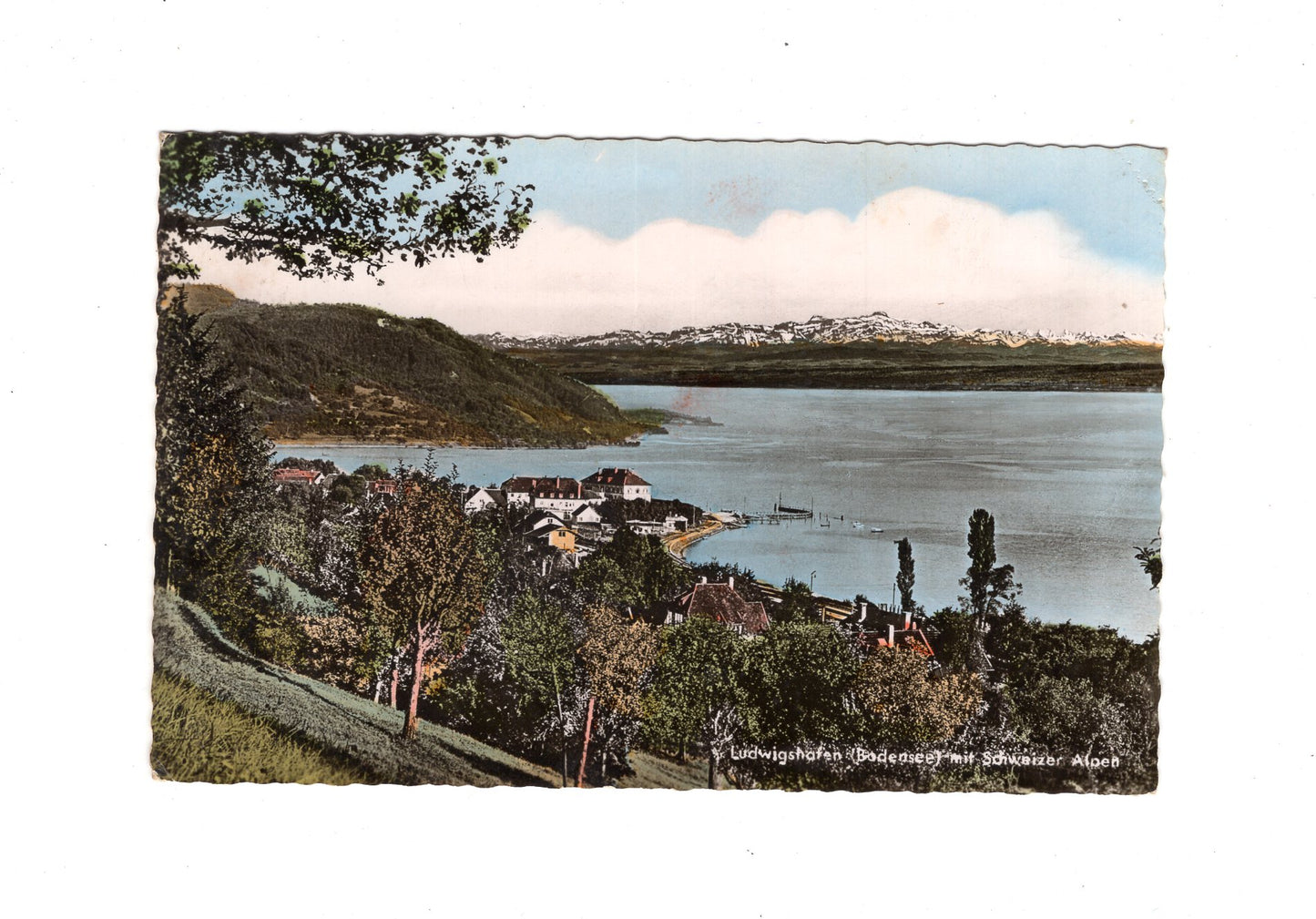 Ansichtskarte Ludwigshafen / Bodensee / mit Schweizer Alpen