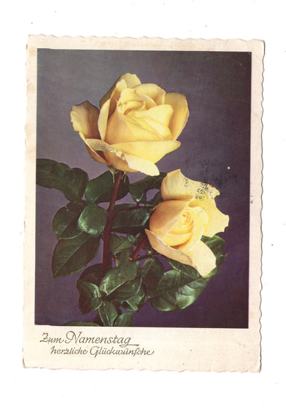 Ansichtskarte Glückwünsche / Glückwunsch zum Namenstag / L1-63