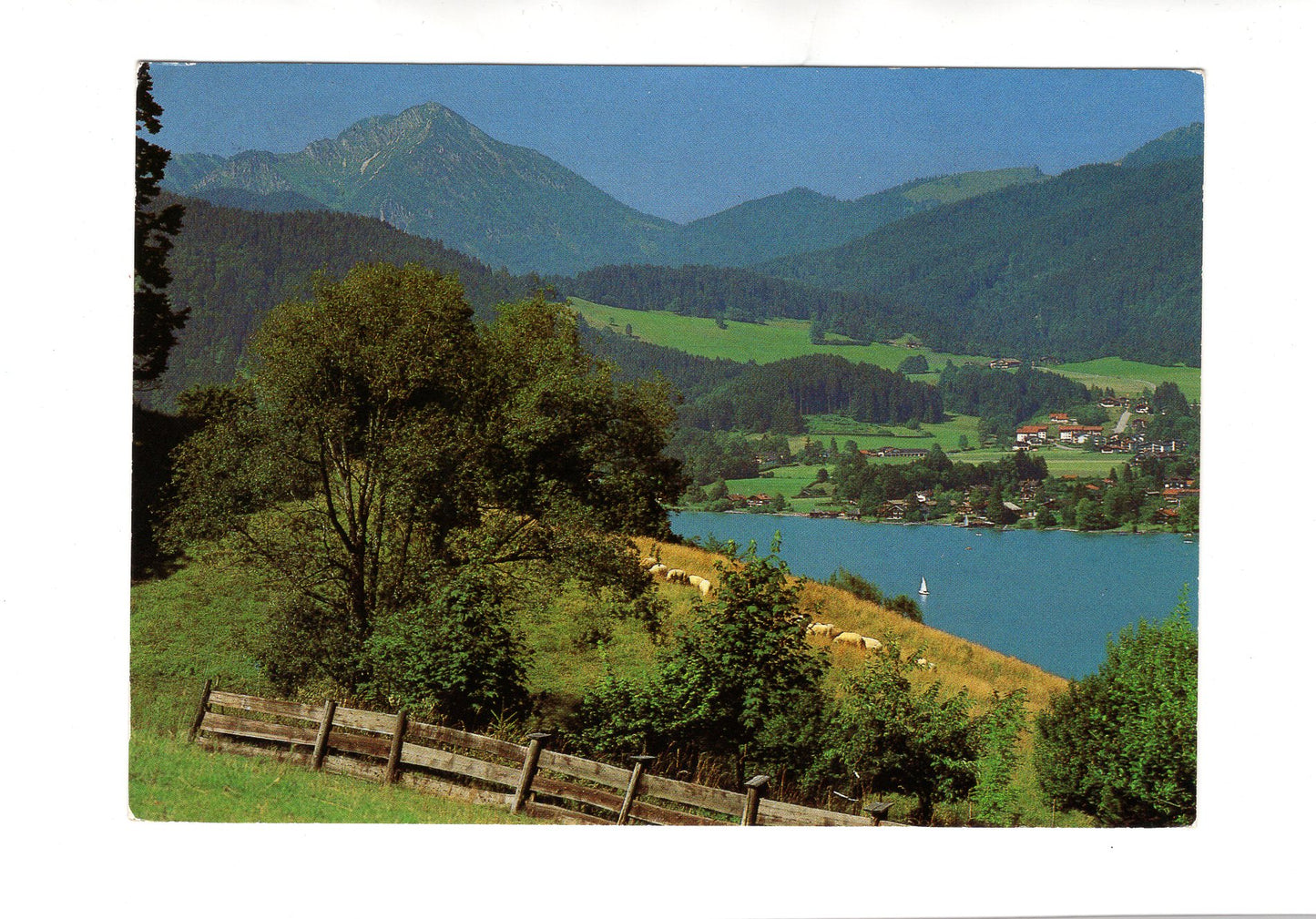 Ansichtskarte Über dem Tegernsee / Blick auf Kampen