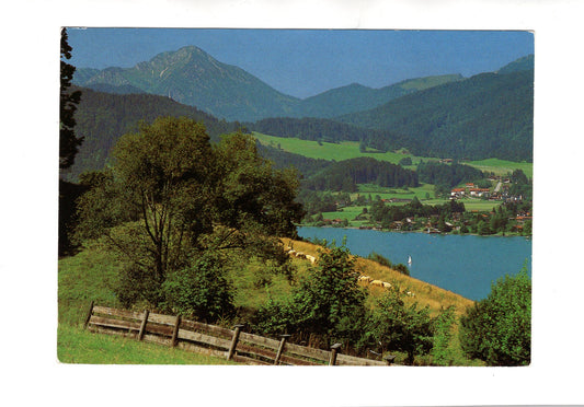 Ansichtskarte Über dem Tegernsee / Blick auf Kampen