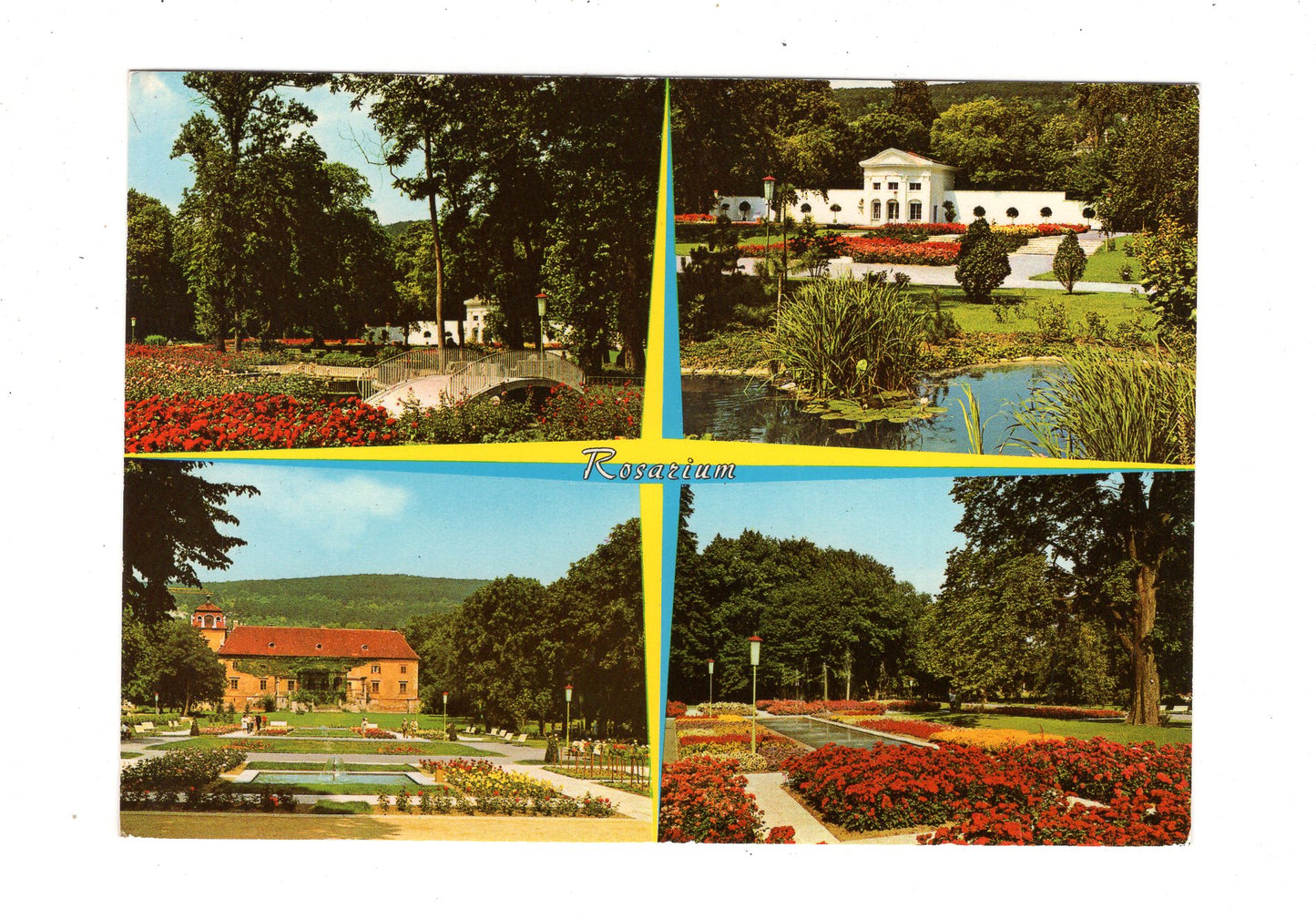 Ansichtskarte Baden bei Wien / Rosarium / Österreich / O1-53