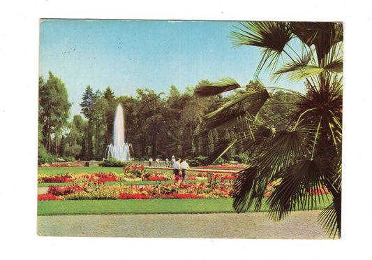 Ansichtskarte Bad Lippspringe / Fontäne im Kaiser-Karls-Park