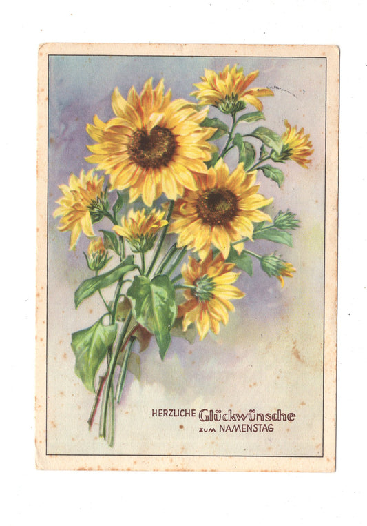 Ansichtskarte Glückwünsche / Glückwunsch zum Namenstag / L1-63