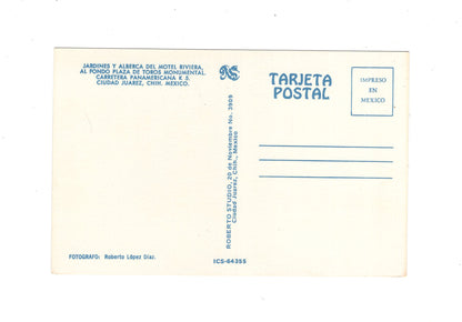 Ansichtskarte Juarez / Jardines y Alberca del Motel Riviera / Mexiko