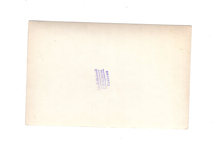 Ansichtskarte Oederan / Klein Erzgebirge im Stadtpark