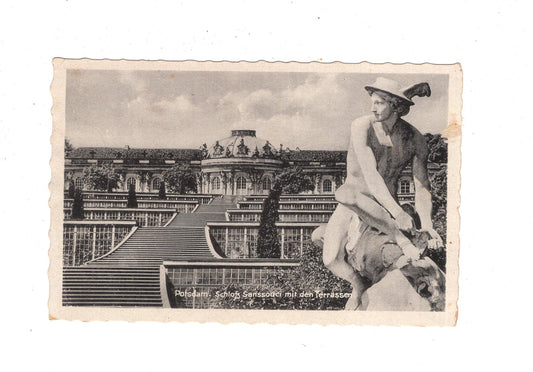 Ansichtskarte Potsdam / Schloss Sanssouci mit den Terrassen / M1-54