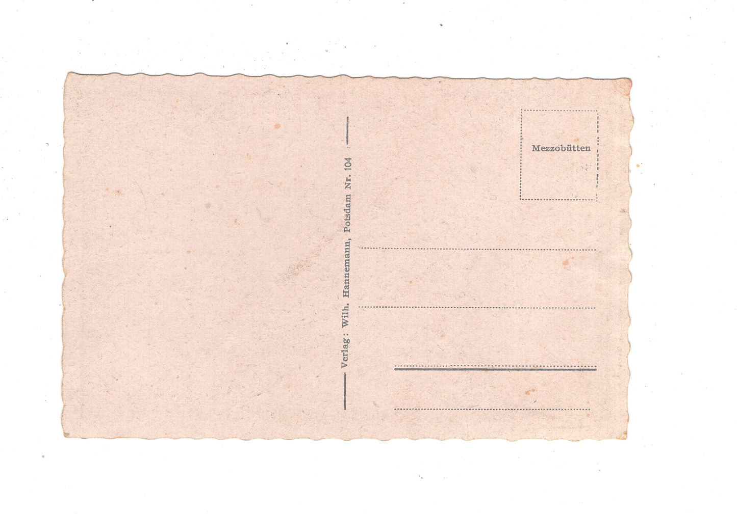 Ansichtskarte Potsdam / Schloss Sanssouci mit den Terrassen / M1-54