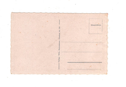 Ansichtskarte Potsdam / Schloss Sanssouci mit den Terrassen / M1-54