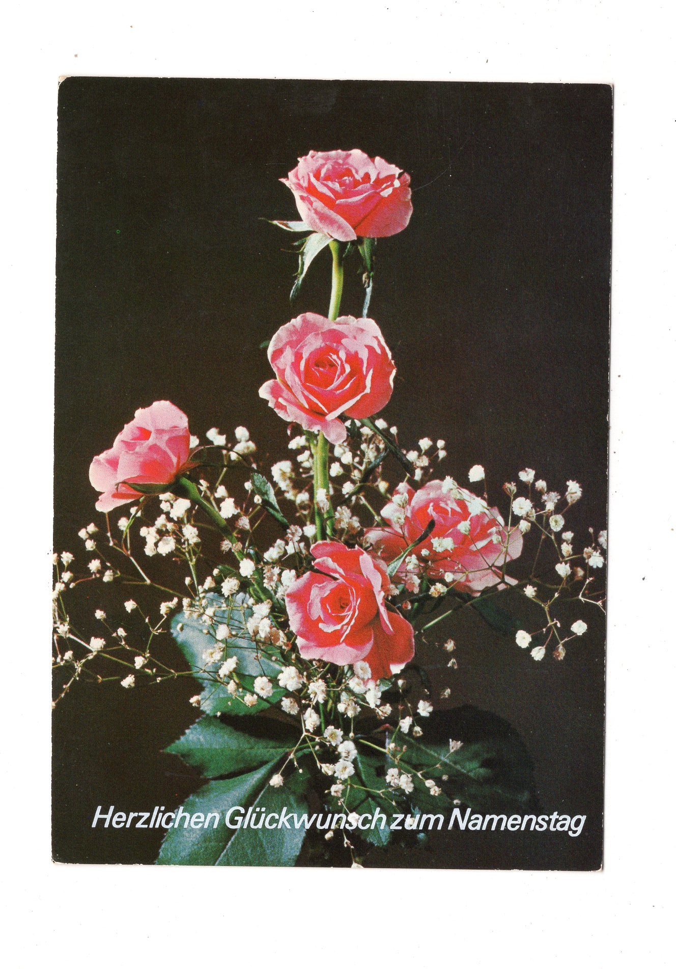 Ansichtskarte Glückwünsche / Glückwunsch zum Namenstag / L1-63