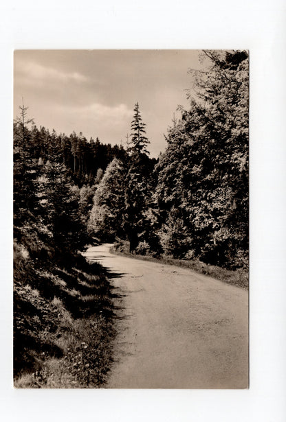 Ansichtskarte Zöblitz / Erzgebirge / Im Schwarzwassertal