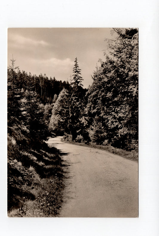 Ansichtskarte Zöblitz / Erzgebirge / Im Schwarzwassertal