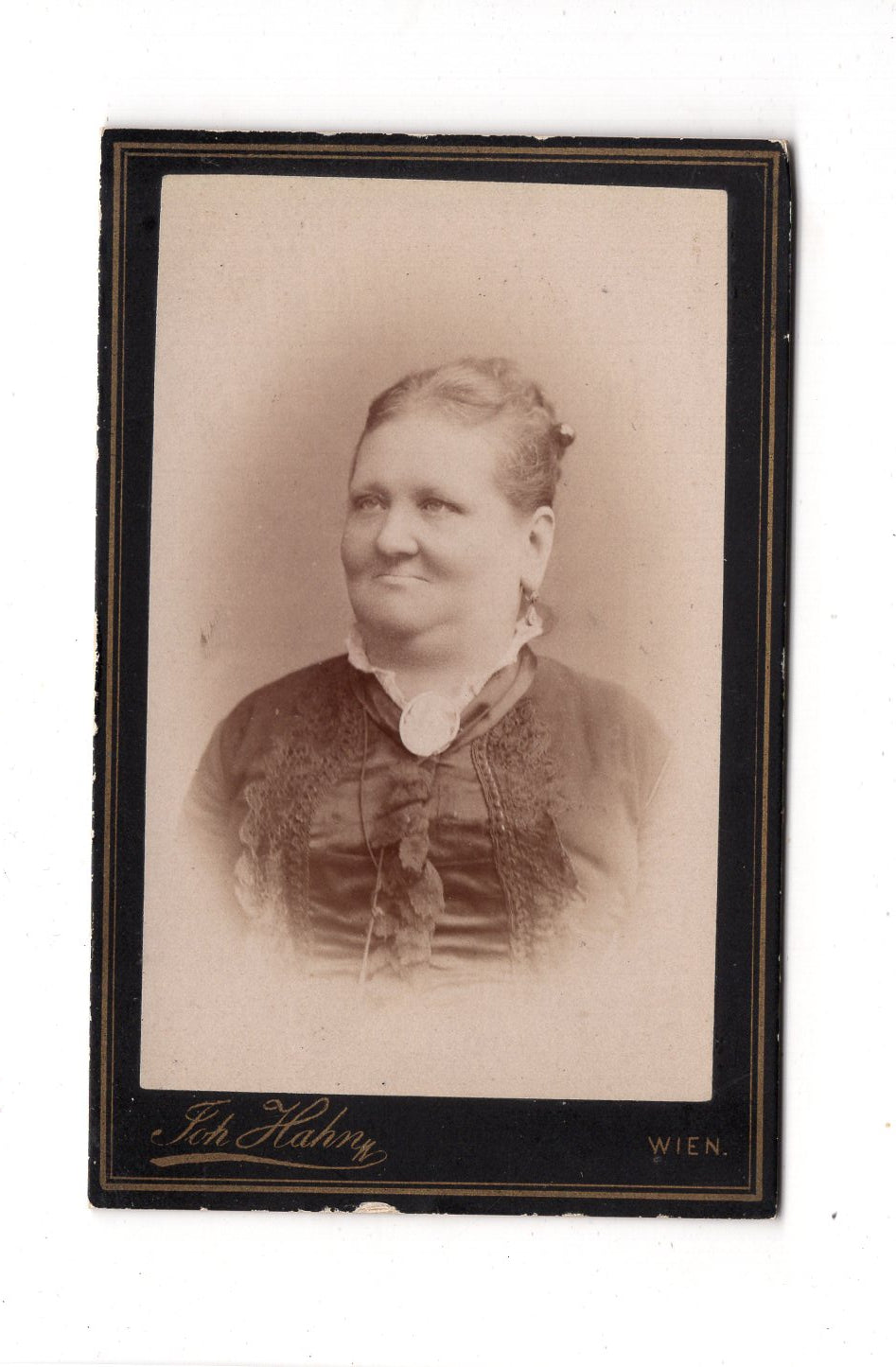 Fotografie Damenportrait - Wien 1880er / CDV C1-12