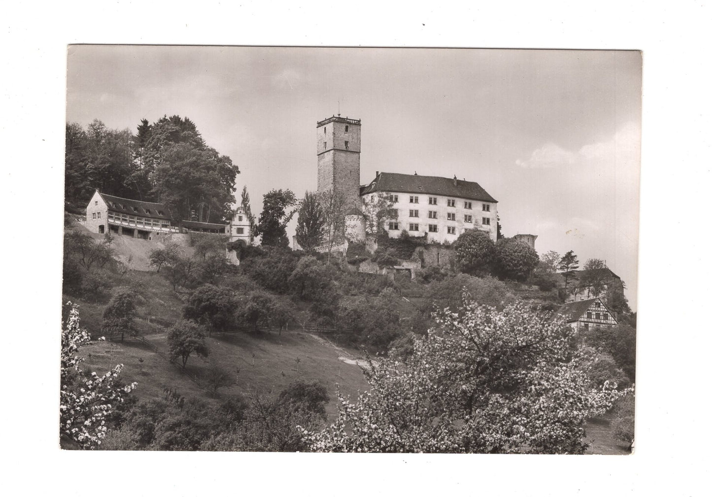 Ansichtskarte Burg Guttenberg über dem Neckartal / I1-60