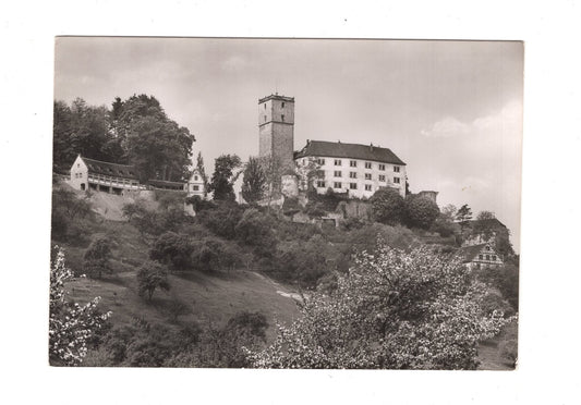 Ansichtskarte Burg Guttenberg über dem Neckartal / I1-60