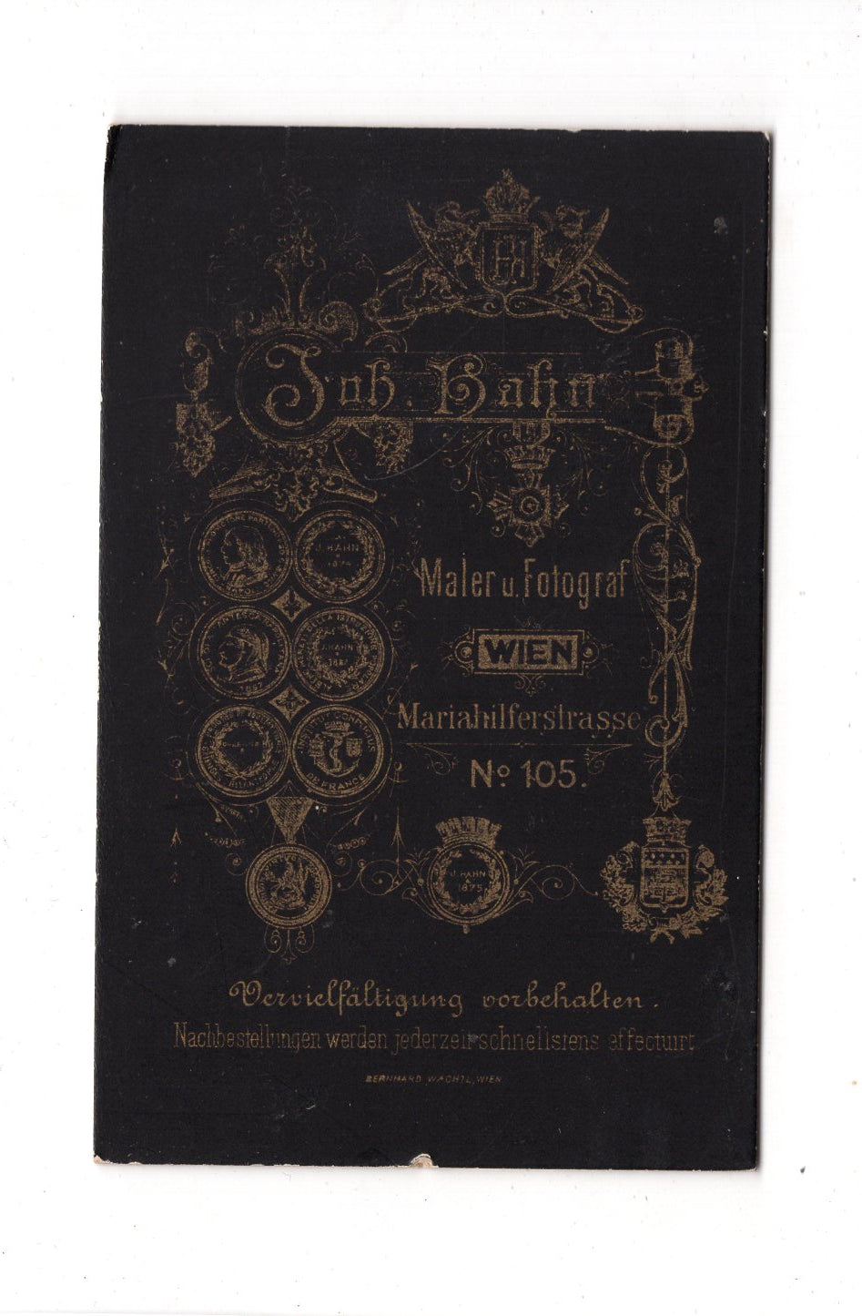 Fotografie Damenportrait - Wien 1880er / CDV C1-12