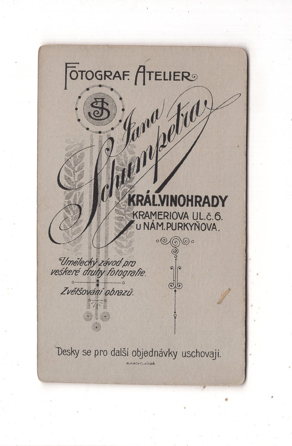 Fotografie Niedliches kleines Mädchen - Kral. Vinohrady 1910er