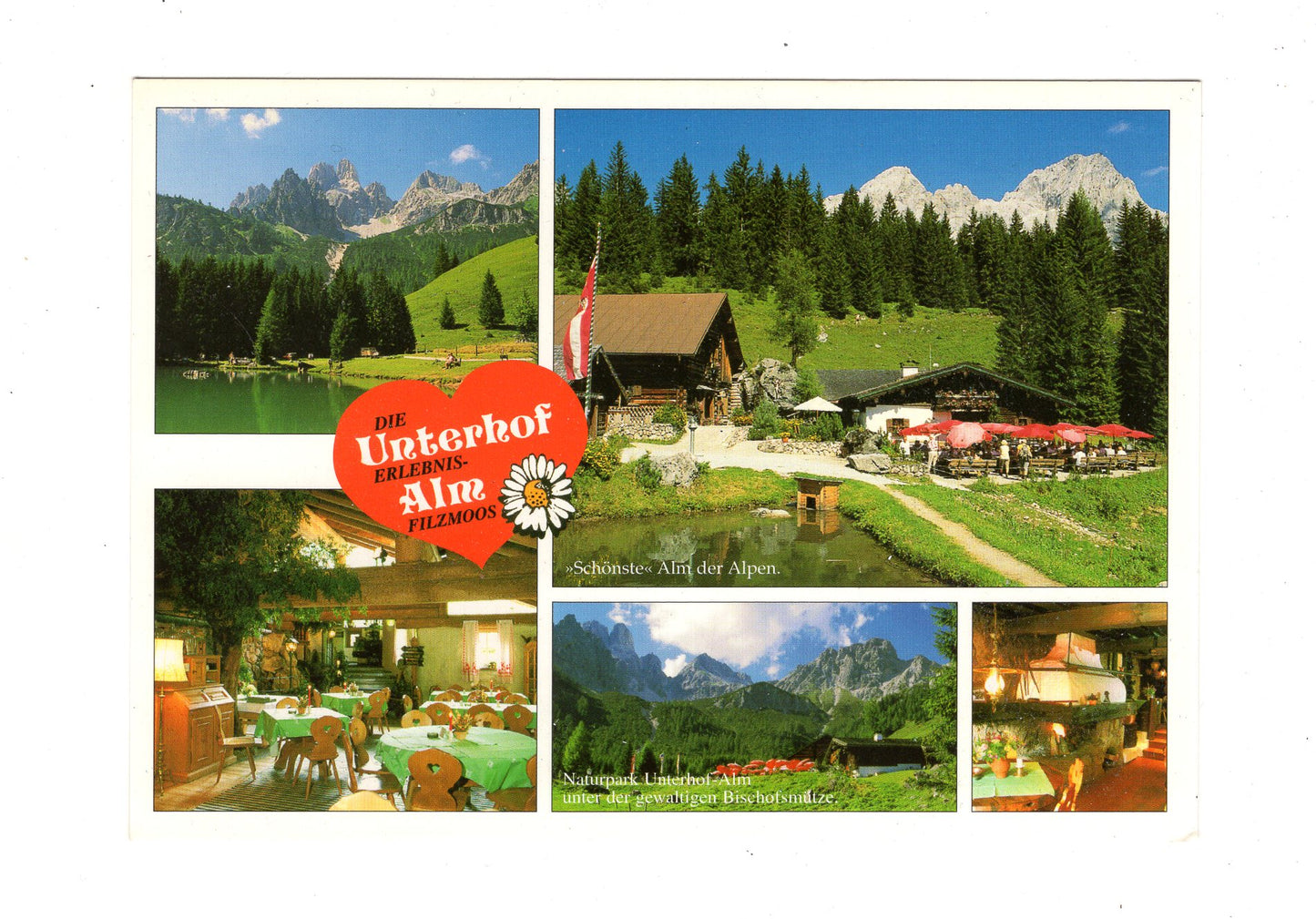 Ansichtskarte Unterhof Alm / Filzmoos / Salzburger Land / Österreich