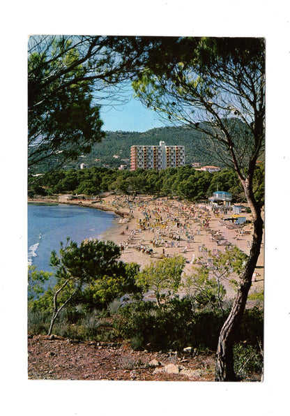 Ansichtskarte Mallorca / Paguera / Spanien