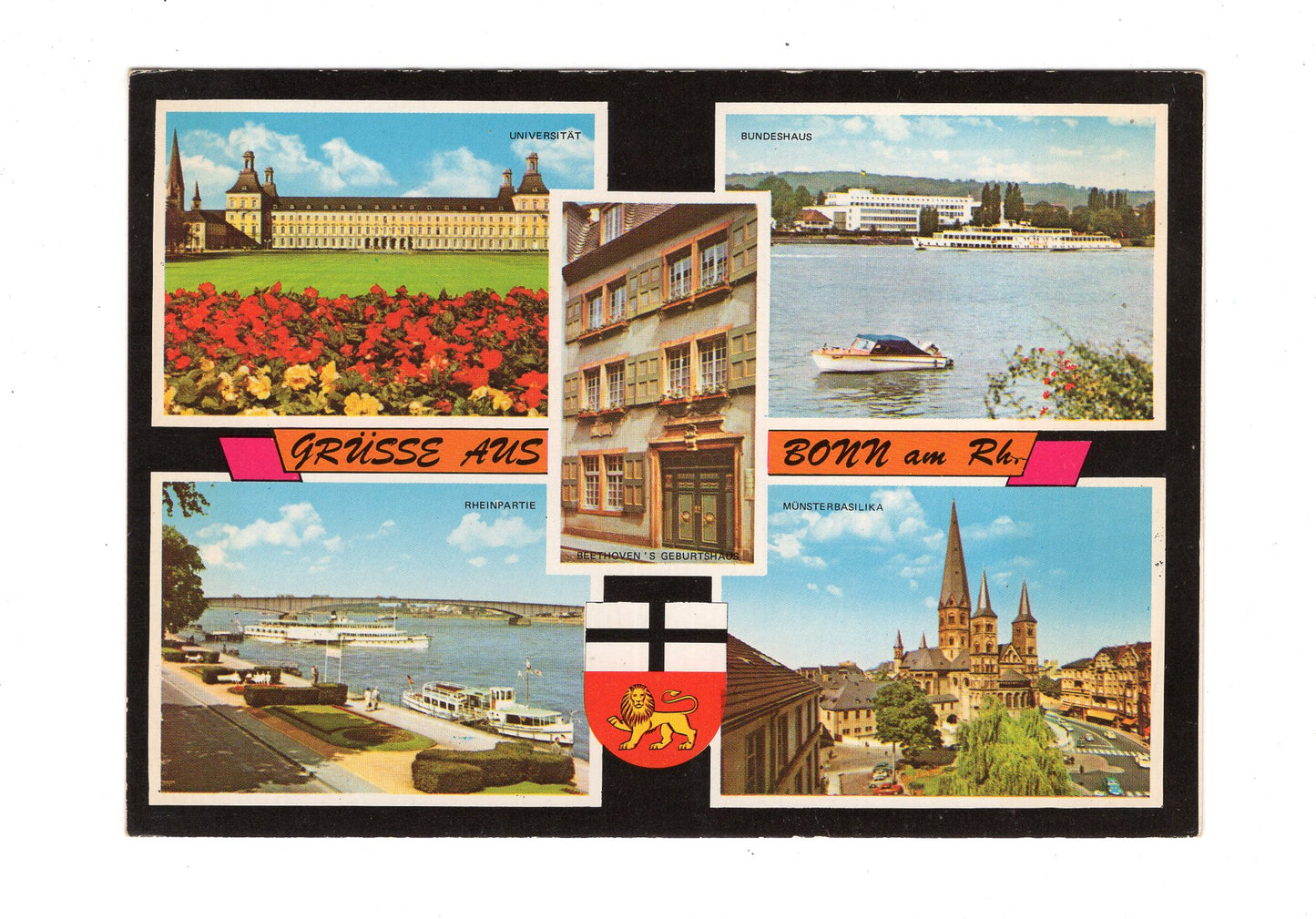 Ansichtskarte Bonn am Rhein / Universität +++