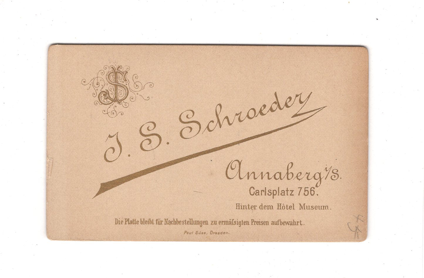 Fotografie Damenportrait - Annaberg 1880er / CDV C1-12