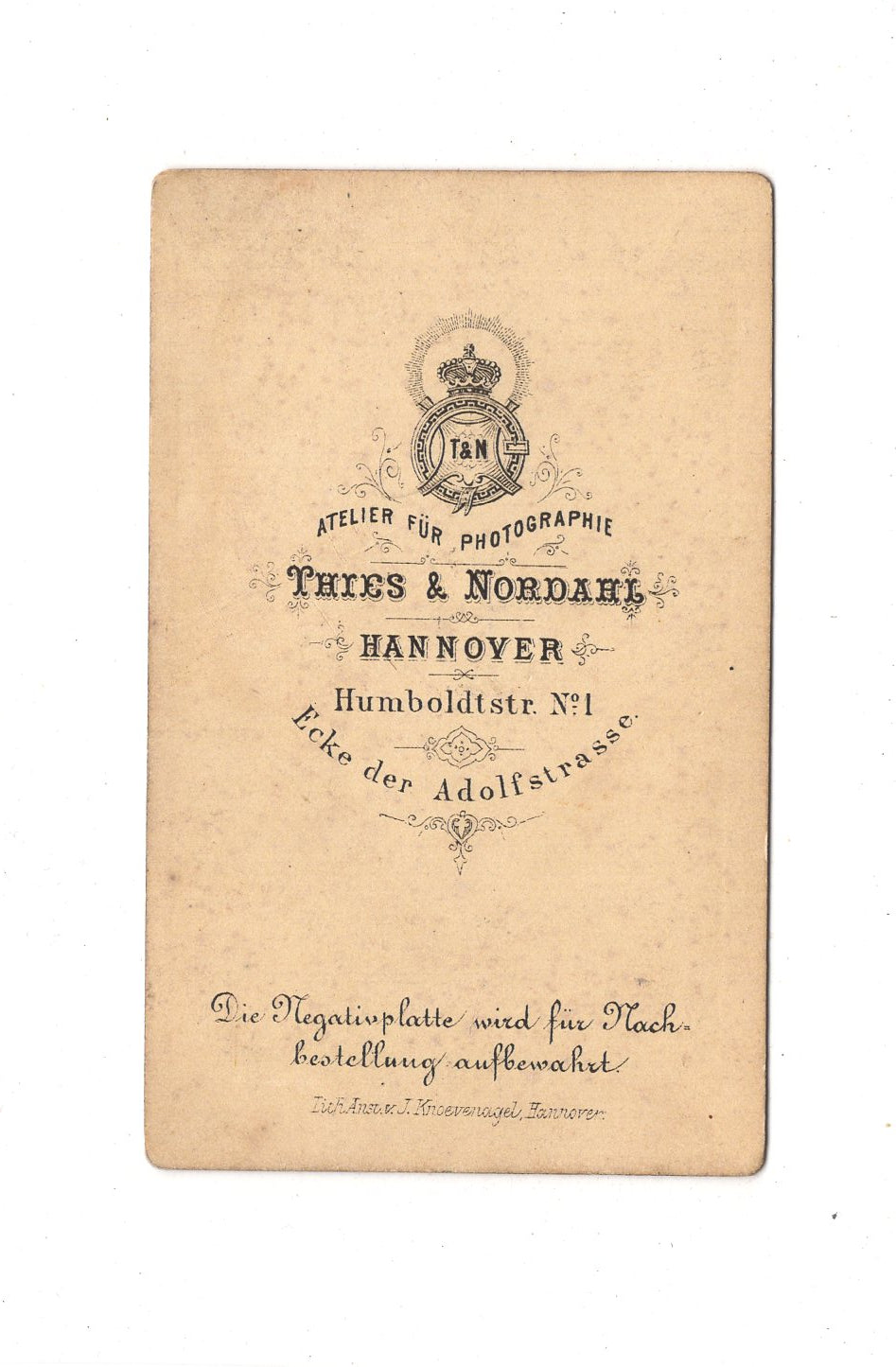 Fotografie Damenportrait - Hannover 1870er / CDV C1-12